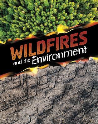 Wildfires and the Environment - Marcia Amidon Lusted - cover