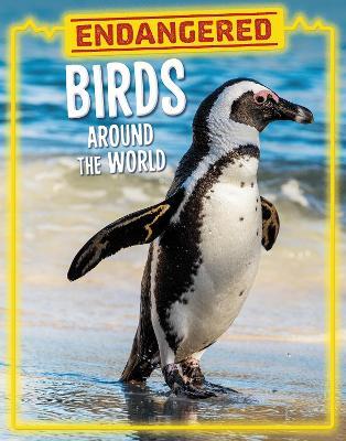 Endangered Birds Around the World - Lisa J. Amstutz - cover