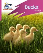 Reading Planet: Rocket Phonics – Target Practice – Ducks – Pink B