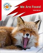 Reading Planet: Rocket Phonics – Target Practice - We Are Foxes - Red A