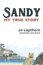 Sandy: My True Story