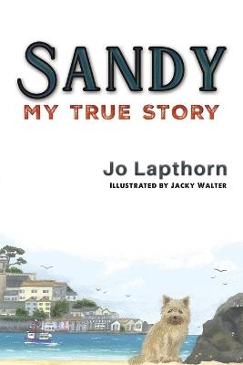 Sandy: My True Story - Jo Lapthorn - cover