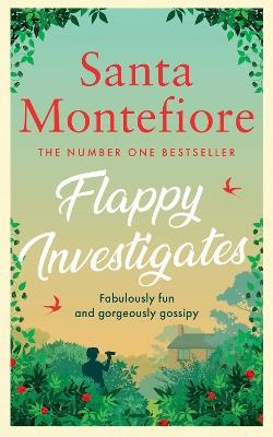 Flappy Investigates - Santa Montefiore - cover