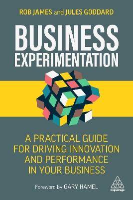 Business Experimentation: A Practical Guide for Driving Innovation and Performance in Your Business - Rob James,Jules Goddard - cover