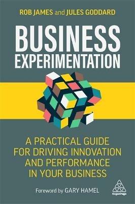 Business Experimentation: A Practical Guide for Driving Innovation and Performance in Your Business - Rob James,Jules Goddard - cover
