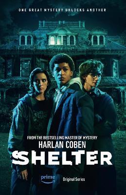 Shelter: From the Number One bestselling creator of the hit Netflix series Missing You - Harlan Coben - cover