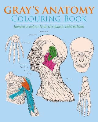 Gray's Anatomy Colouring Book: Images to Colour from the Classic 1860 Edition - Henry Gray,Henry Carter - cover