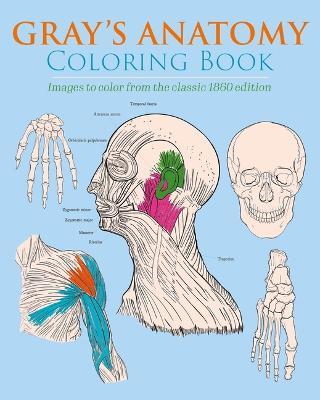 Gray's Anatomy Coloring Book: Images to Color from the Classic 1860 Edition - Henry Gray,Henry Carter - cover