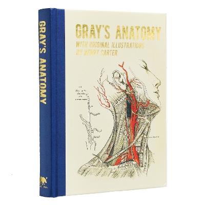 Gray's Anatomy: With Original Illustrations by Henry Carter - Henry Gray - cover