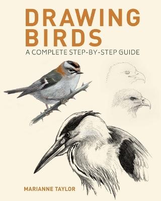 Drawing Birds: A Complete Step-By-Step Guide - Marianne Taylor - cover