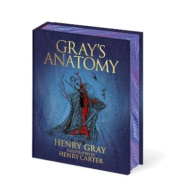 Gray's Anatomy - Henry Gray - cover