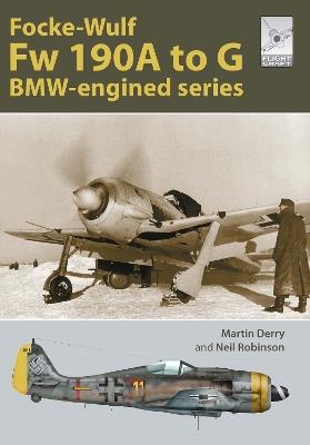 Flight Craft Special 2: The Focke-Wulf Fw 190: The A-G Series - Martin Derry,Neil Robinson - cover