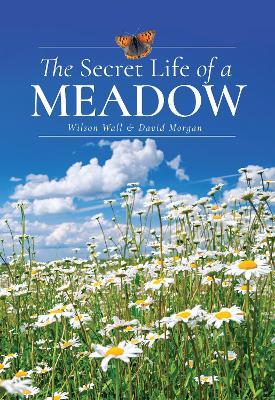 The Secret Life of a Meadow - Wilson Wall,David Morgan - cover
