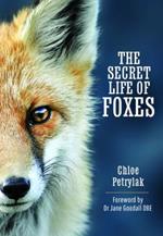 The Secret Life of Foxes