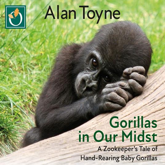Gorillas in Our Midst