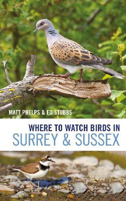 Where to Watch Birds in Surrey and Sussex - Matthew Phelps,Ed Stubbs - cover