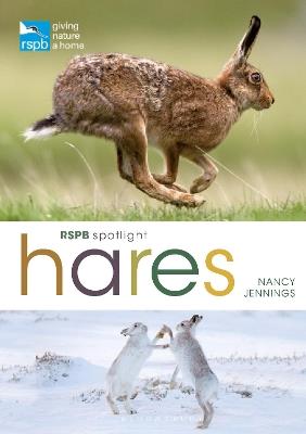 RSPB Spotlight Hares - Nancy Jennings - cover