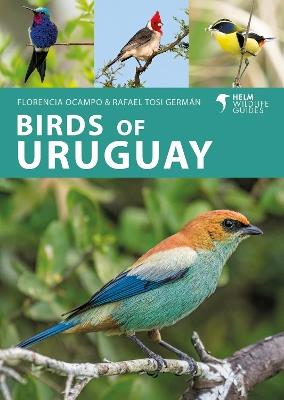 Birds of Uruguay - Florencia Ocampo,Rafael Tosi Germán - cover