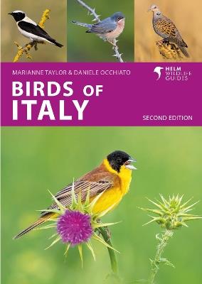 Birds of Italy - Daniele Occhiato,Marianne Taylor - cover