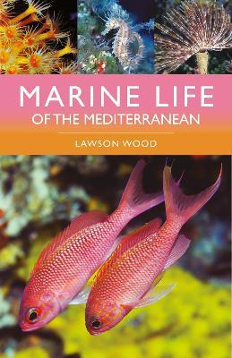 Marine Life of the Mediterranean - Lawson Wood - cover