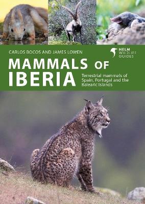 Mammals of Iberia: Terrestrial mammals of Spain, Portugal and the Balearic Islands - Carlos Bocos Gonzalez,James Lowen - cover