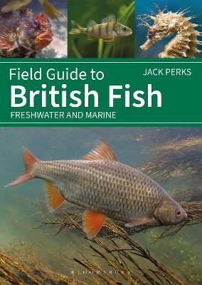 Field Guide to British Fish: Freshwater and Marine - Jack Perks - cover