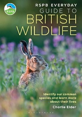 RSPB Everyday Guide to British Wildlife: Identify our common species and learn more about their lives - Charlie Elder - cover