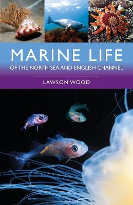 Marine Life of the North Sea and English Channel - Lawson Wood - cover