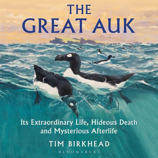 The Great Auk