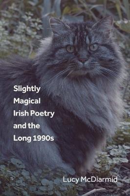 Slightly Magical Irish Poetry and the Long 1990s - Lucy McDiarmid - cover