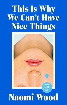 This Is Why We Can't Have Nice Things: Winner of the 2023 BBC National Short Story Award - Naomi Wood - cover