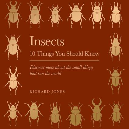 Insects