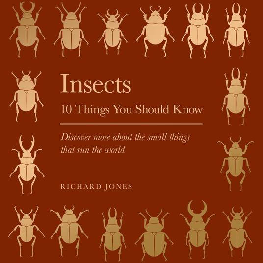 Insects