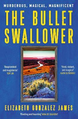 The Bullet Swallower - Elizabeth Gonzalez James - cover