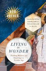 Living in Wonder: Finding Mystery and Meaning in a Secular Age