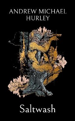 Saltwash: The chilling new novel from the 'master of menace' - Andrew Michael Hurley - cover