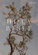 NRSV Catholic Edition Bible, Eucalyptus Hardcover (Global Cover Series): Holy Bible