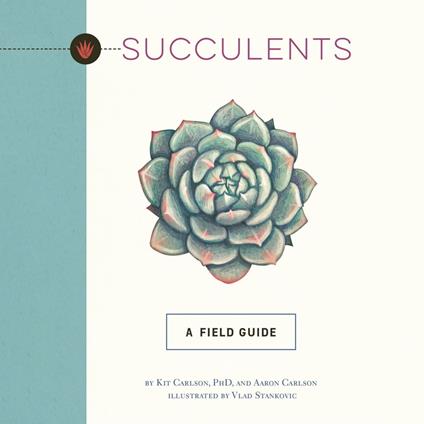 Succulents