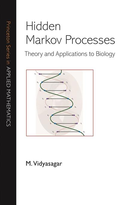 Hidden Markov Processes