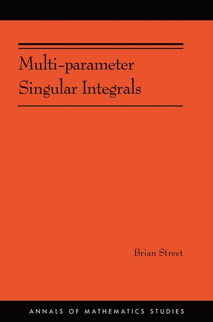 Multi-parameter Singular Integrals, Volume I