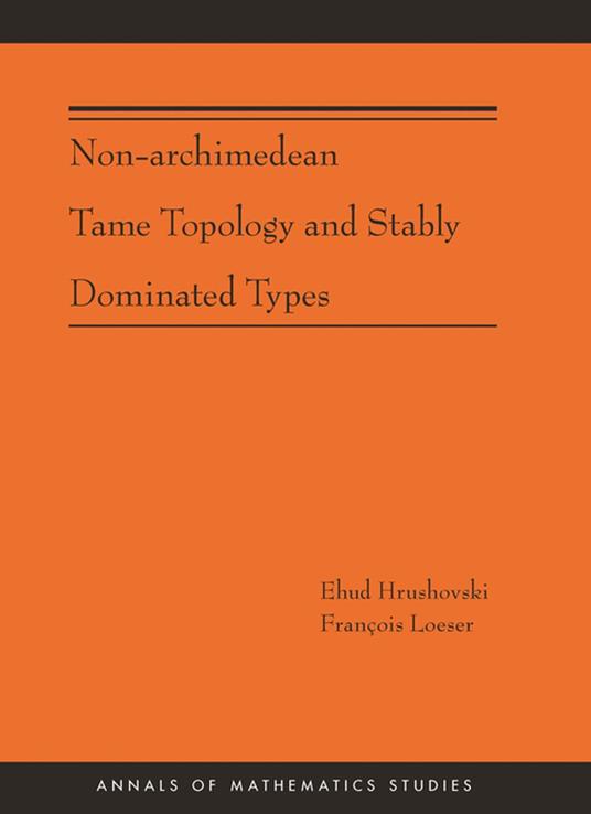 Non-Archimedean Tame Topology and Stably Dominated Types