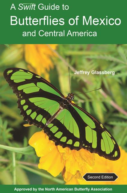 A Swift Guide to Butterflies of Mexico and Central America