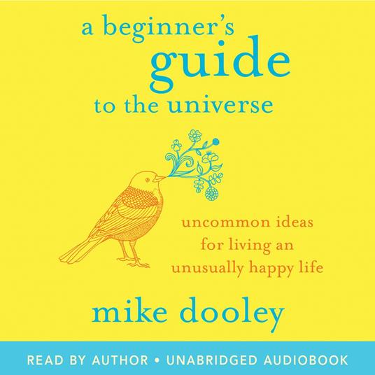 A Beginner's Guide to the Universe
