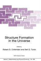 Structure Formation in the Universe - Robert G. Crittenden - cover