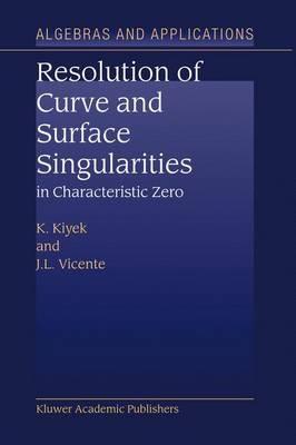 Resolution of Curve and Surface Singularities in Characteristic Zero - K. Kiyek,J.L. Vicente - cover