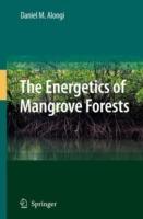 The Energetics of Mangrove Forests