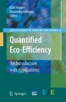 Quantified Eco-Efficiency: An Introduction with Applications - cover