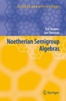 Noetherian Semigroup Algebras - Eric Jespers,Jan Okninski - cover