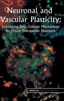 Neuronal and Vascular Plasticity: Elucidating Basic Cellular Mechanisms for Future Therapeutic Discovery - cover