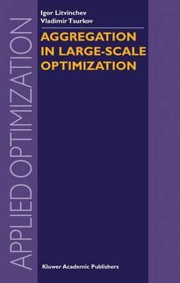 Aggregation in Large-Scale Optimization - I. Litvinchev,Vladimir Tsurkov - cover